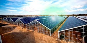 serre-fotovoltaiche-villasor