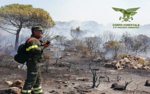 forestale sardegna