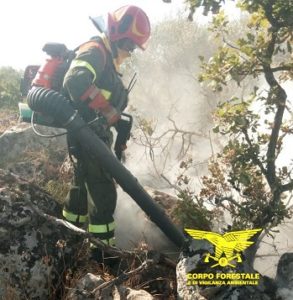 forestas sardegna