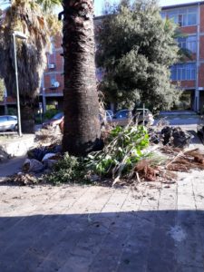 via bottego palme pericolo