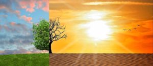 cambiamenti climatici coldiretti sardegna