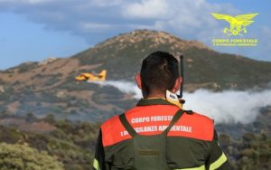 incendi sardegna