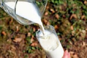 protesta-latte-sardegna