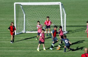 scuola calcio torres