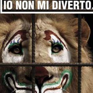 circo-animali-movimento-5-stelle-sassari