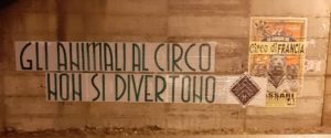 foresta che avanza circo animali sfruttamento novembre 2019