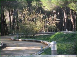 parco baddimanna sassari