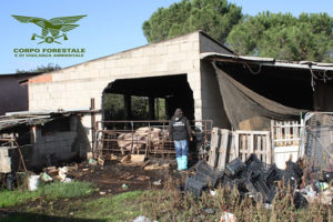 sardegna allevamenti abusivi corpo forestale sanzioni