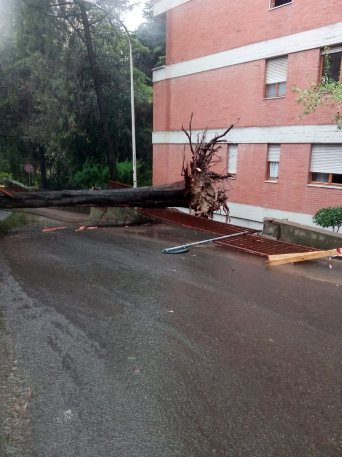 sassari albero caduto via fancello deviazione ss131 danni pioggia