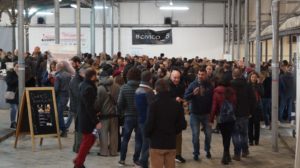 sassari wine&life ex mercato civico antonio bonomo vino cantine sella e mosca arvisionadu mandrolisai vermentino monti siddura pure vini surrau nereidi argiolas
