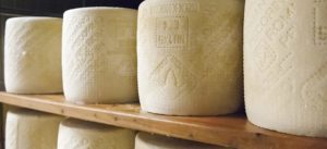formaggio sardegna