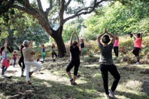 yoga-Baratz