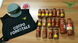 sequestro ricci di mare sardegna