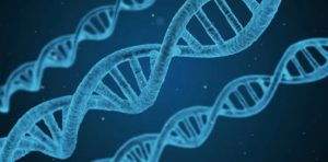 dna sardegna