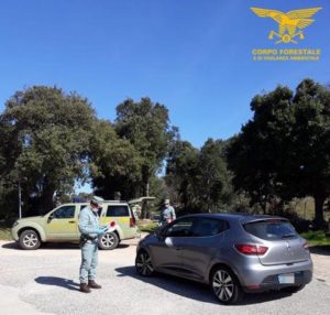forestale sardegna
