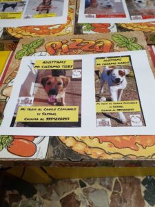 sassari-pizza-cani