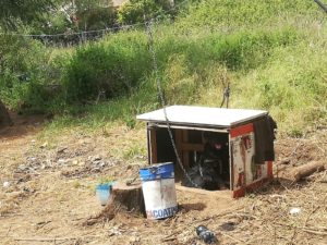 cane salvato sassari