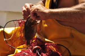 pescatori asinara sassari sardegna
