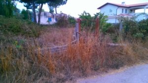 vegetazione terreno abbandonato fuoco sardegna