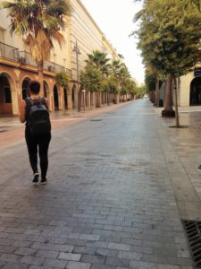 Erasmus Traineeship