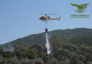 burgos incendio