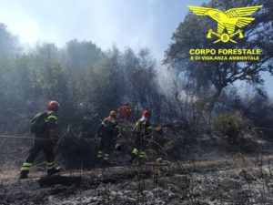 vigili del fuoco sardegna