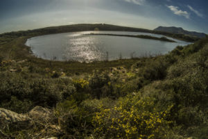 lago sassari alghero