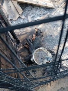 incendi sardegna