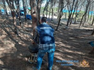 multe a sassari