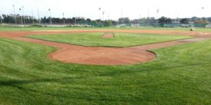 baseball alghero