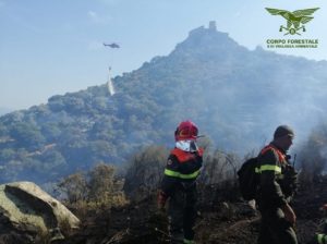 incendi sardegna 2020