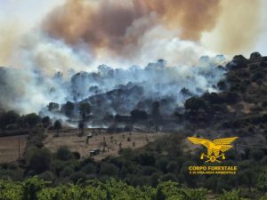 incendi sardegna 2020