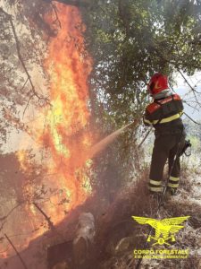 incendi sardegna