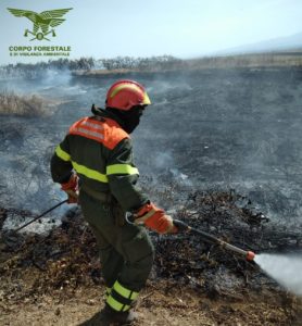 incendio bonorva