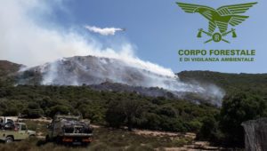 incendi sardegna