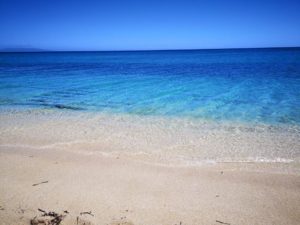 mare sassari