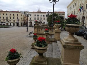 sassari