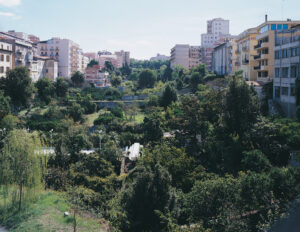 sassari