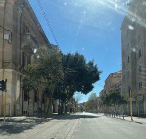 sassari