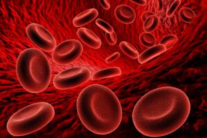 sangue