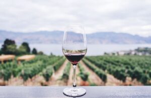 vigneti