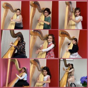 concorso arpa