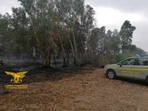 arresto incendiario sardegna