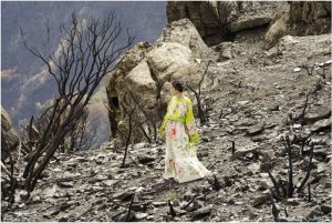 incendi sardegna cuglieri