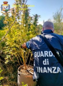 arresto spaccio sassari