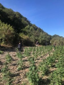 lotta alla droga sassari
