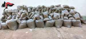 droga sardegna