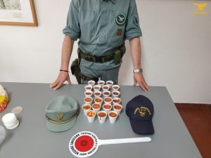 guardia di finanza sardegna