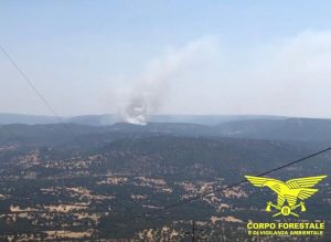 forestale sardegna