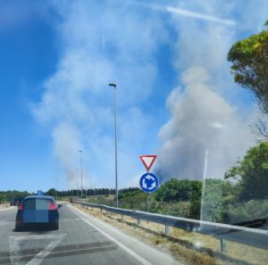 incendi sardegna